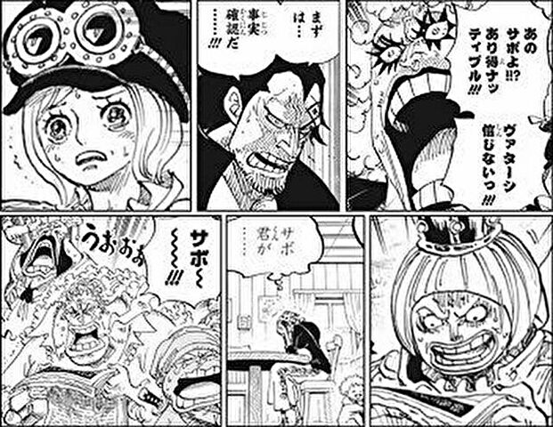 サボのビブルカードは 死亡フラグは確定でメラメラの実はどうなる One Piece本誌考察や名シーン雑学まとめサイト