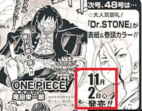 One Piece 994話ネタバレと感想 またの名をヤマト キミの為に死ねる One Piece本誌考察や名シーン雑学まとめサイト