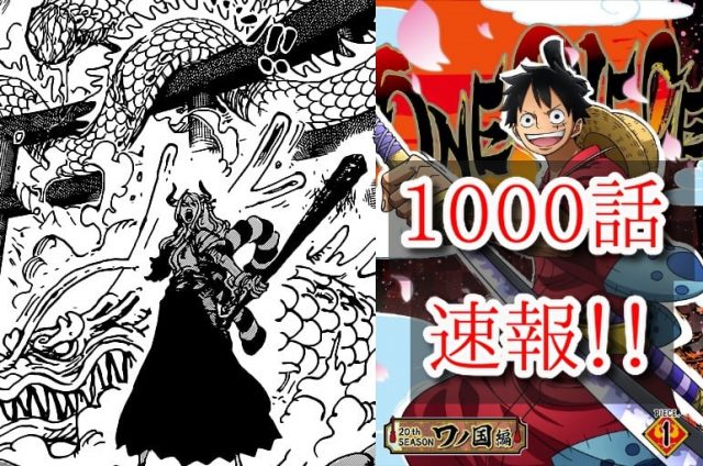 Divers ワンピース 1000 レッドロック ワンピース 1000 レッドロック