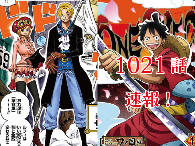 One Pieceネタバレ1021話最新確定 ロビン巨大悪魔化勝利 モモの助ジュクジュクの術で大人化 One Piece 本誌考察や名シーン雑学まとめサイト