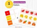Color Matching Activity, Color Sorting Activity, Preschool, Homeschool, Kindergarten, Busy Book, Digital Download