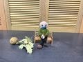 Bernie Sanders Inspired Crochet Doll with Bench – 6" Handmade Gift with Wood Stand for Bernie Fans, Graduates, Birthdays, or Christmas