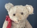 Antique German Jopi White 19" Teddy Bear with Swiss Music Box in Tummy